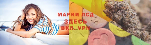 прущие грибы Алексин