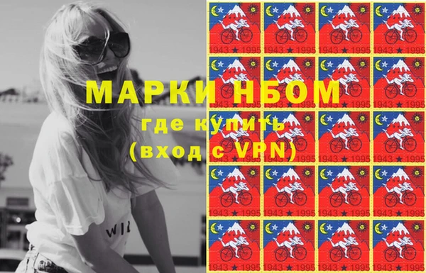 прущие грибы Алексин