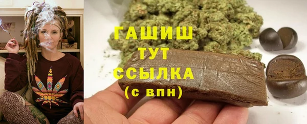 гашик Алексеевка