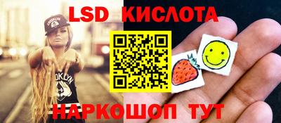 винт Владимир