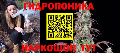 гашик Владивосток