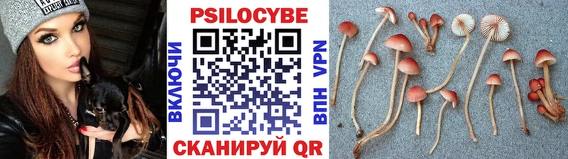 где продают наркотики  Карабулак  Галлюциногенные грибы мухоморы 