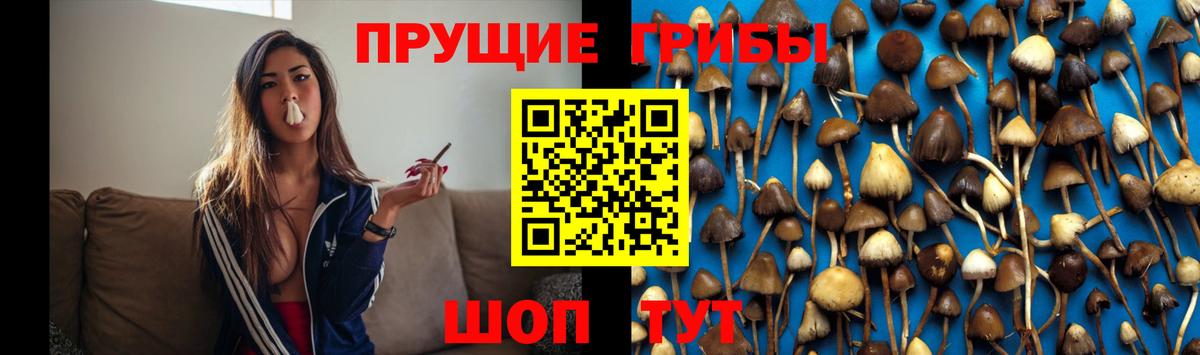 Карабулак  Галлюциногенные грибы Magic Shrooms  Галлюциногенные грибы Cubensis  Вход с VPN 